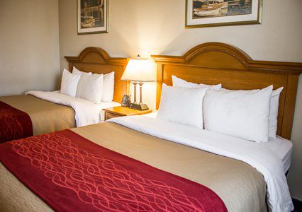 Comfort Jfk Airport 2* Nueva York